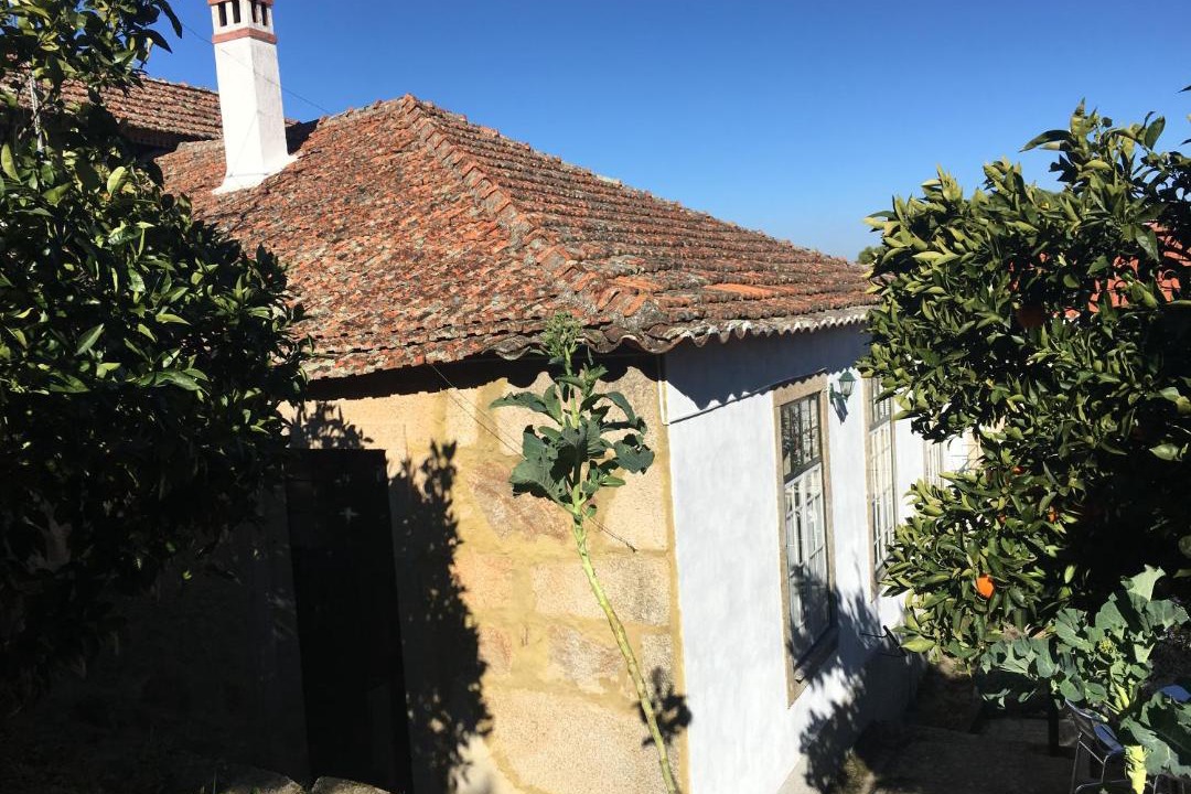 Photo of Buildings in Penamacor