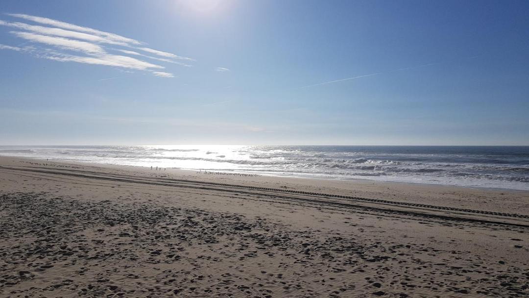 Photo of Others in Praia de Mira