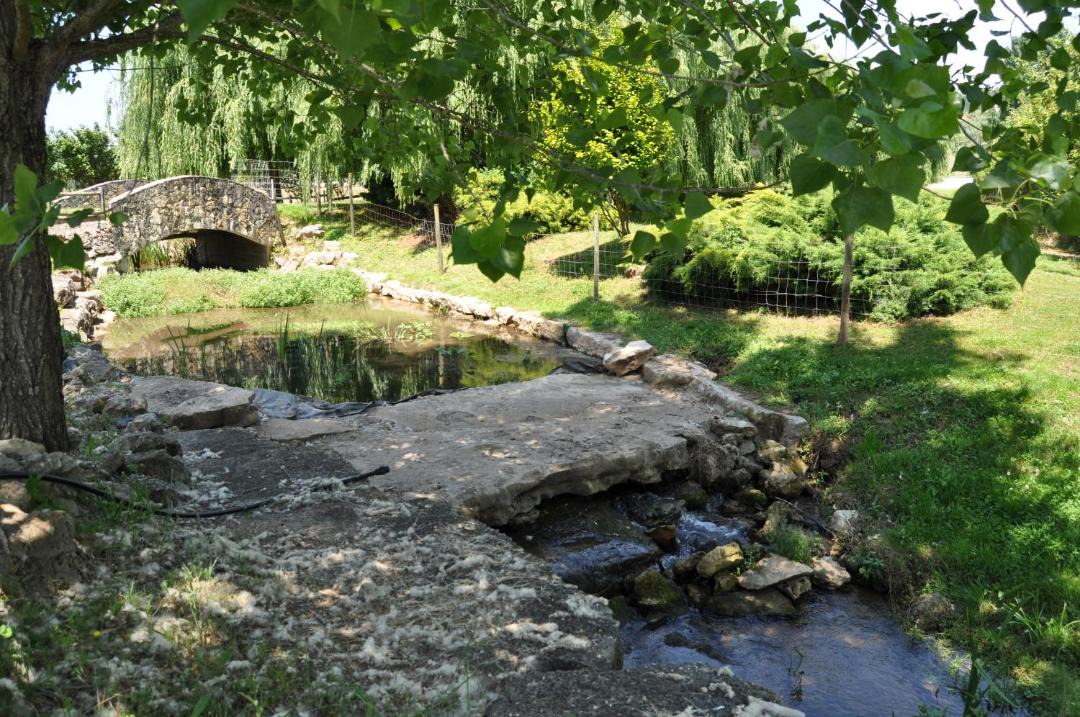 Photo of Others in Ourem