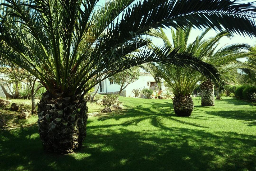 Photo of Others in Funchal