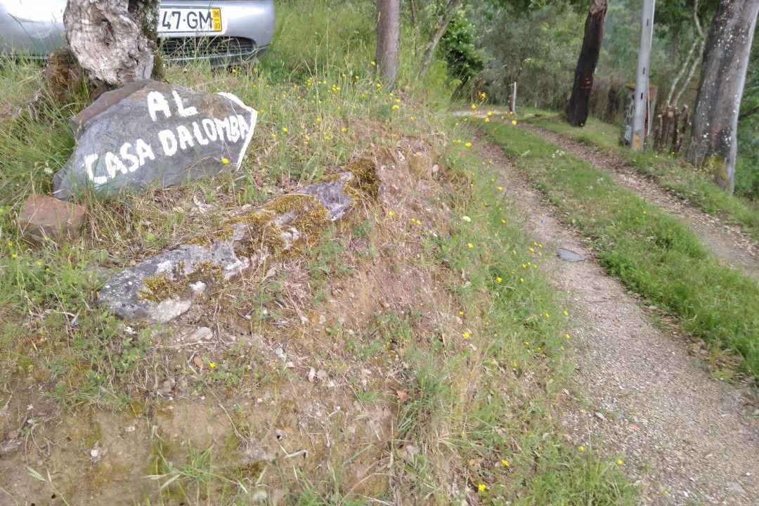 Photo of Outdoor in Arganil