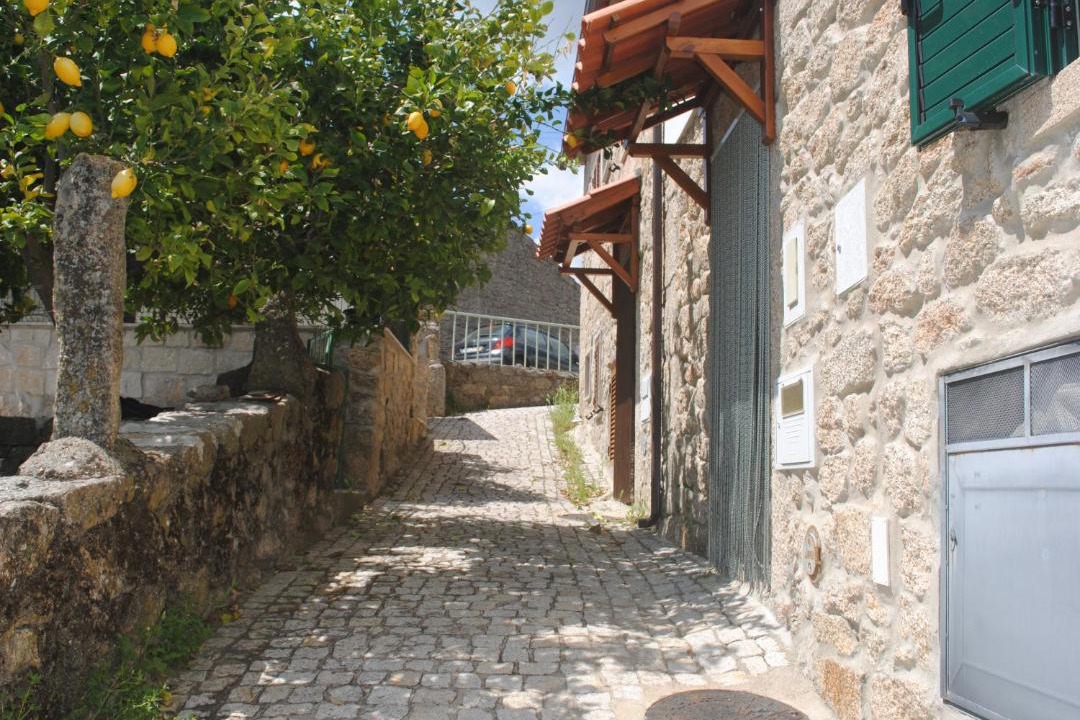 Photo of Others in Idanha-a-Nova