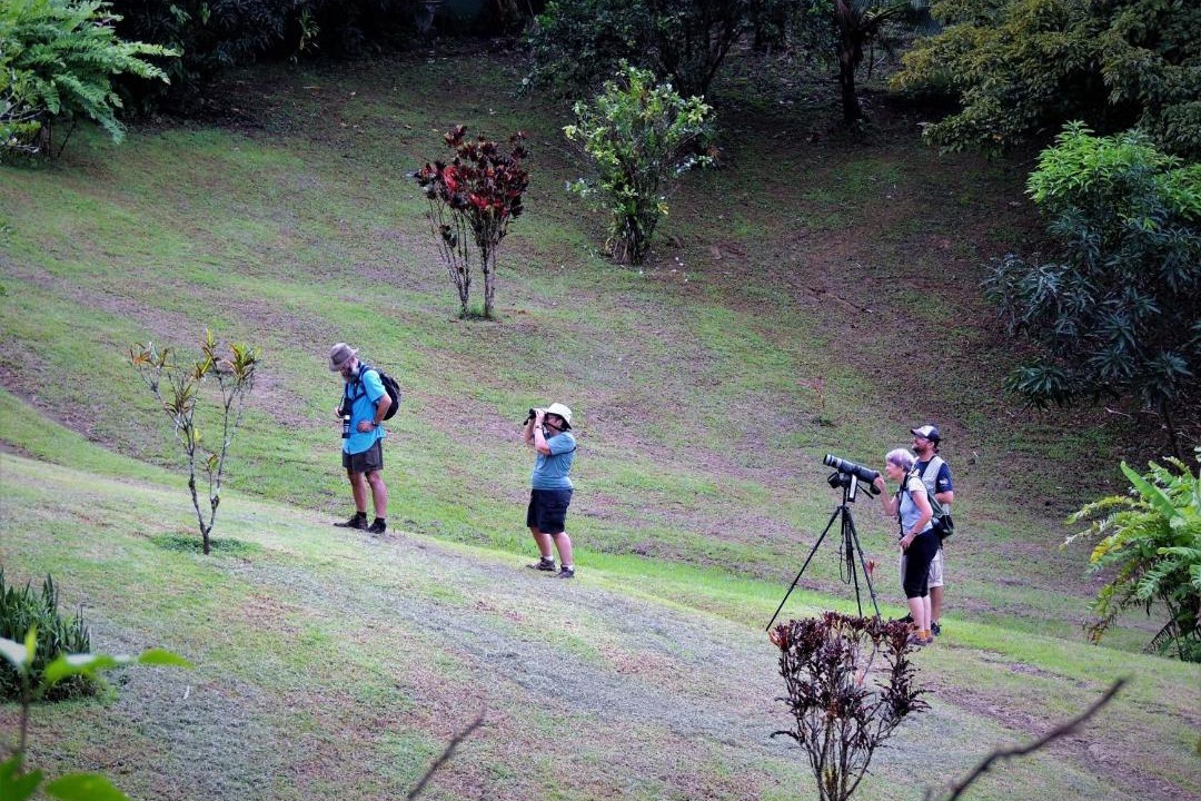 Photo of Others in Drake Bay
