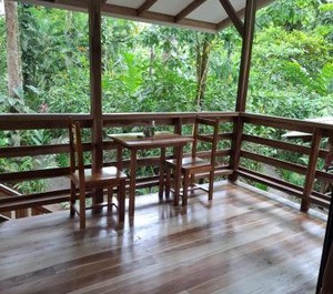 Punta Uva 
