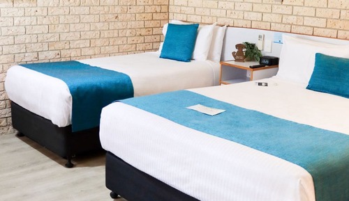 Deluxe Pet Friendly Twin Room
