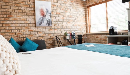 Deluxe Queen Room - Pet Friendly