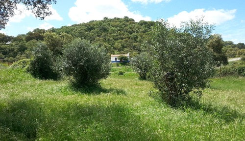 Casa da Ribeira