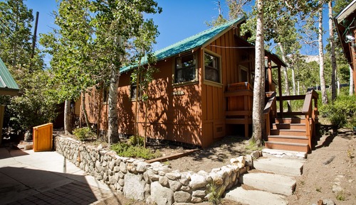 Family Cabin (Native)