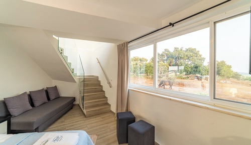Premium Studio, Terrace (11)