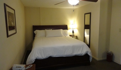Standard Room, 1 Queen Bed, Pool View