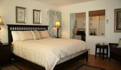 Room, 1 King Bed (Adyar Sunrise; No Television)