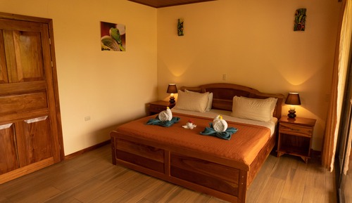 Standard Double Room, 1 King Bed (#3)