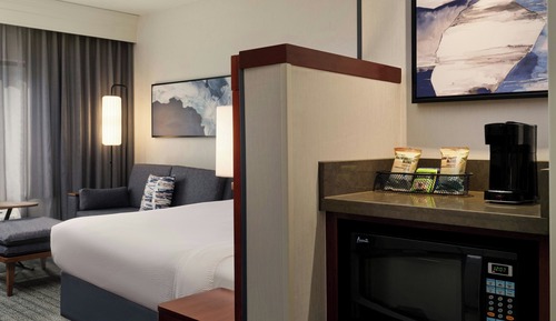 Room, 1 King Bed