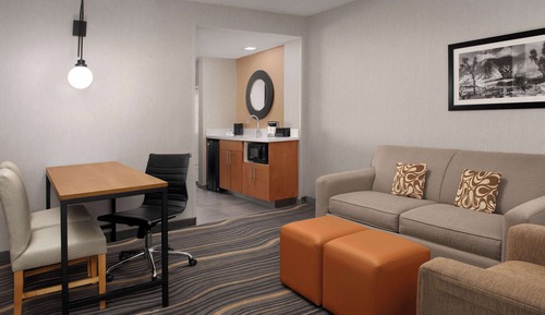 Standard Suite, 1 King Bed with Sofa bed