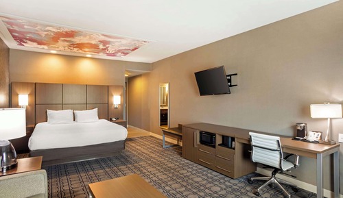 Standard Room, 1 King Bed, Non Smoking, Refrigerator & Microwave (with Sofabed)