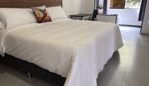 Apartment Rosa 4