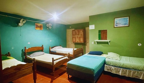 Standard Shared Dormitory