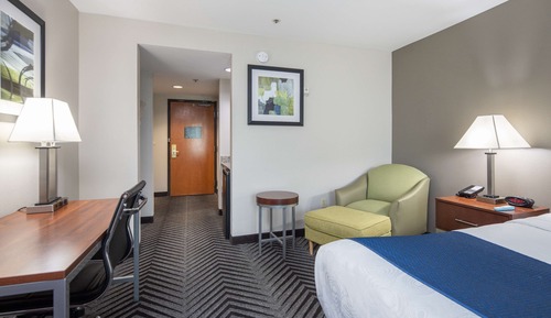 Standard Room, 1 King Bed, Accessible, Refrigerator & Microwave