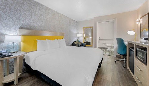 Room, 1 King Bed, Accessible, Non Smoking
