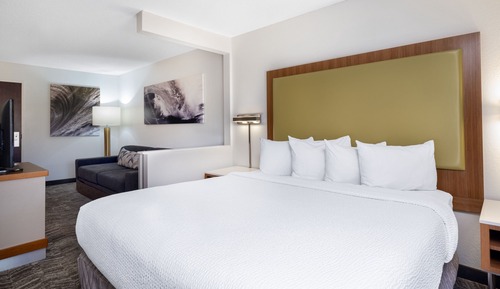 Studio, 1 King Bed with Sofa bed (Hearing Accessible)
