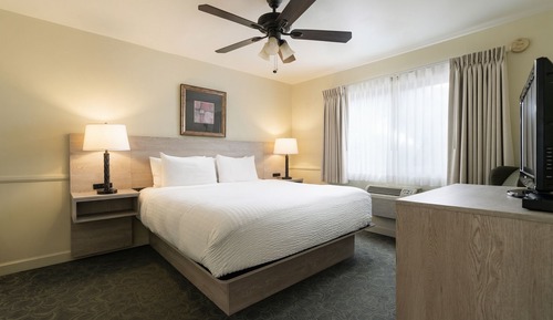 Harbor Pool Suite