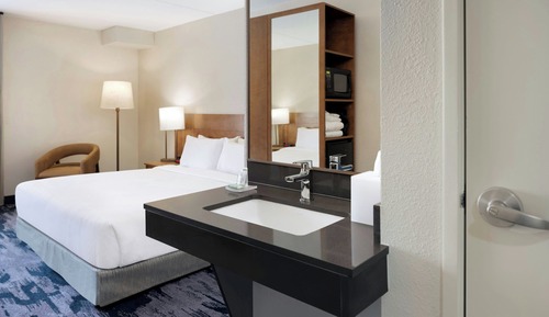 Room, 1 King Bed with Sofa bed (Mobility/Hearing Access, Roll-In Shwr)