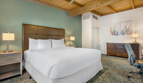Standard Room, 1 King Bed, Non Smoking, Kitchen