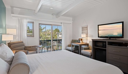 Standard Room, 1 King Bed, Non Smoking, Refrigerator & Microwave (Larger Room;with Sofabed)