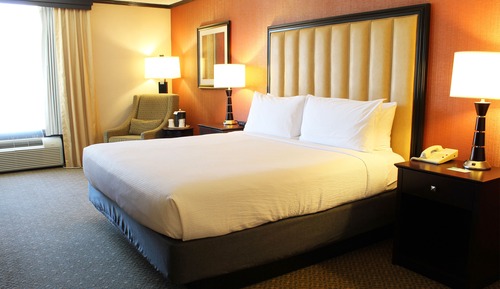 Room, 1 King Bed, Accessible