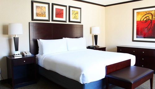 Suite, 1 King Bed with Sofa bed