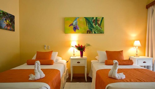 Standard Room, Terrace