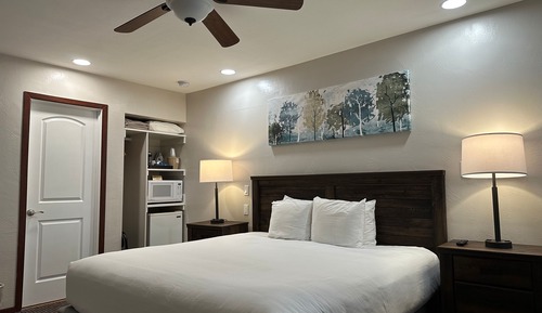 Standard Room, 1 King Bed, Roll-in Shower