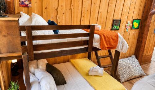 Bunk Bed in Mixed Dormitory Room