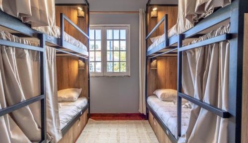 Bunk Bed in Mixed Dormitory Room