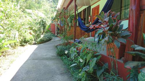  Standard Double Room with Terrace