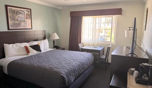 King Room with View