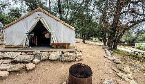 Tent