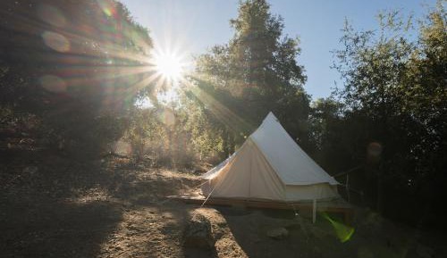 Tent