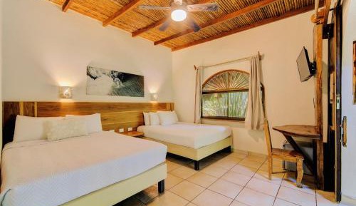 Superior Queen Double Room with Jungle View