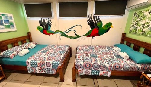 Deluxe Family Room