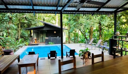 Two-Bedroom Apartment with Pool View