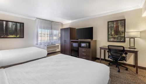 Queen Room with Two Queen Beds and Roll-In Shower - Disability Access/Non-Smoking