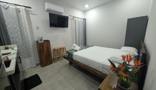 Superior Queen Room