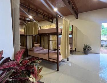 Single Bed in Mixed Dormitory Room