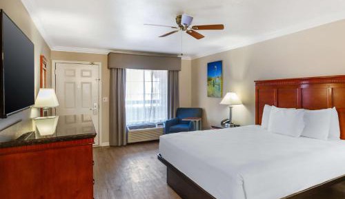 King Room - Non-Smoking