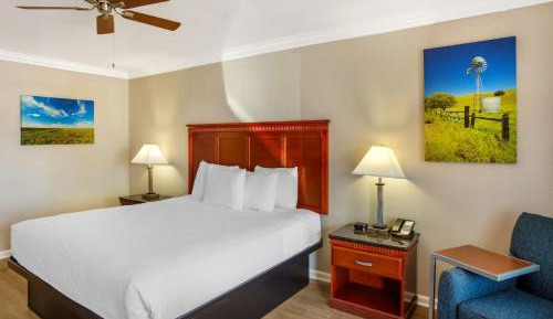 King Room - Pet Friendly/Non-Smoking