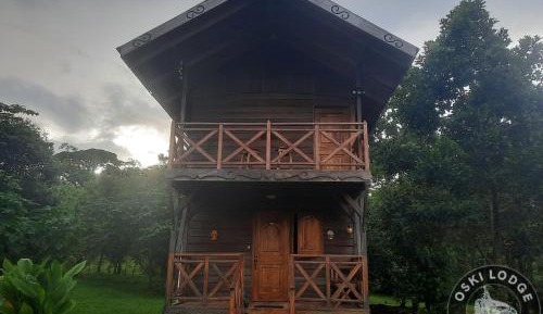 Studio - Split Level