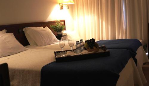 Double or Twin Room with Mountain View