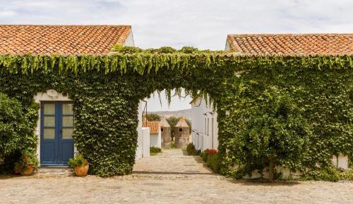 Twin or Double Room - Winery