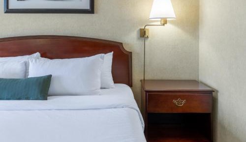 One-Bedroom King Suite - Non-Smoking